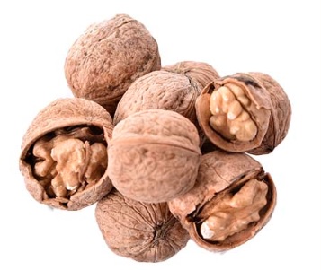 تصویر 1 از گردو پوست کاغذی
